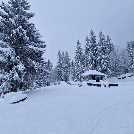 Bed and Breakfast Bialy Potok Zieleniec  Esterno foto