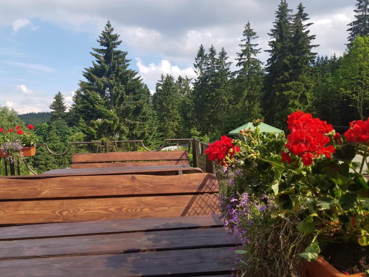Bed and Breakfast Bialy Potok Zieleniec  Esterno foto