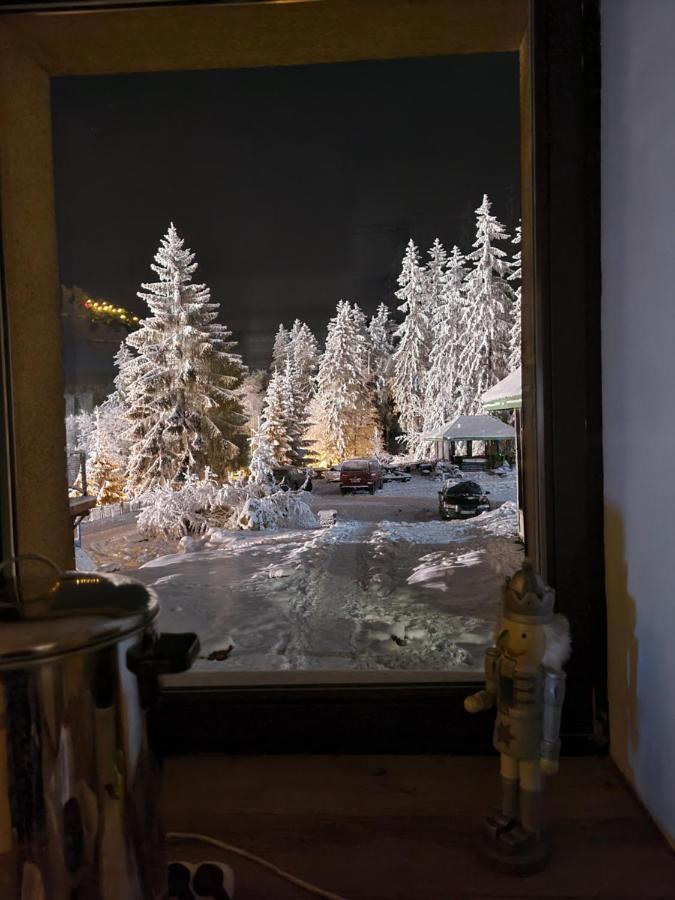 Bed and Breakfast Bialy Potok Zieleniec  Esterno foto