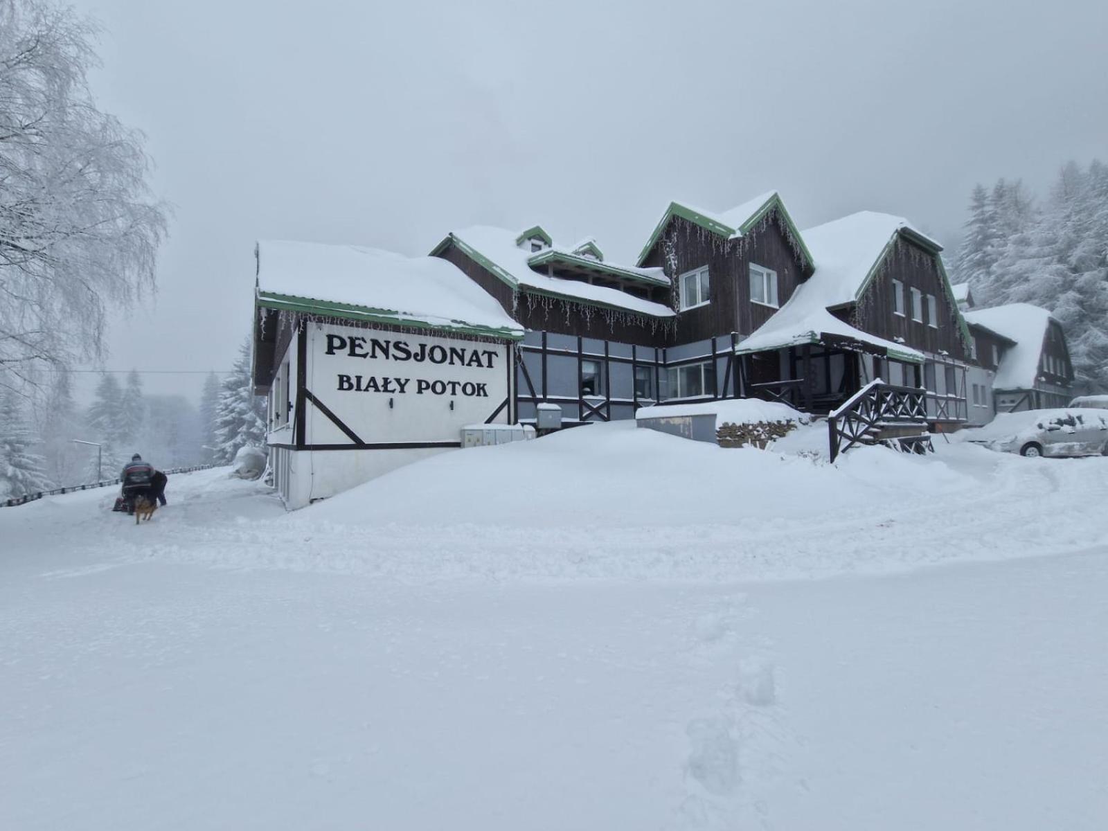 Bed and Breakfast Bialy Potok Zieleniec  Esterno foto